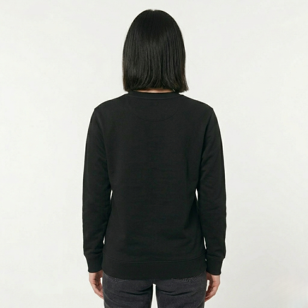 Submerged White House sweatshirt